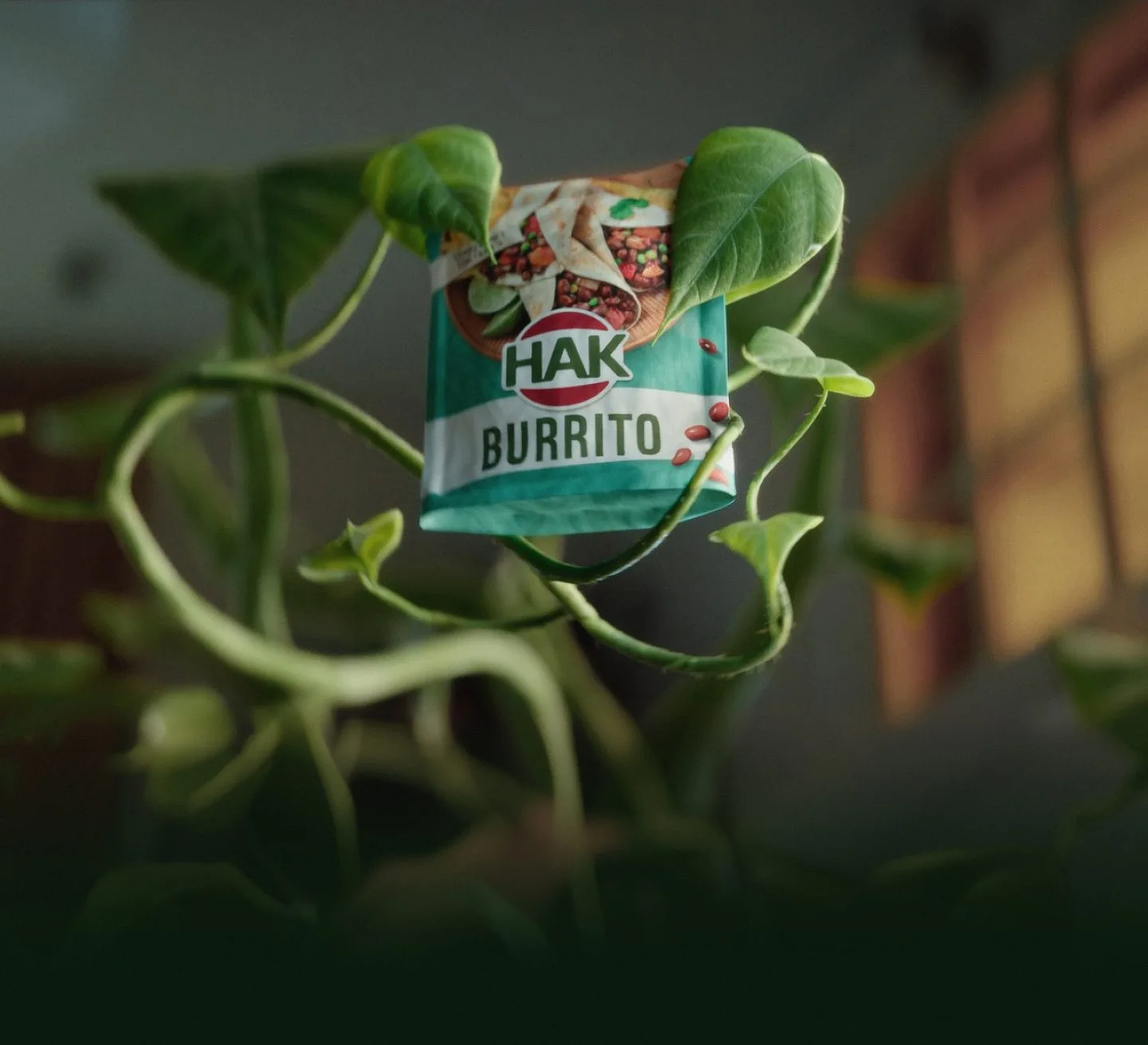 HA Kjedag hero B