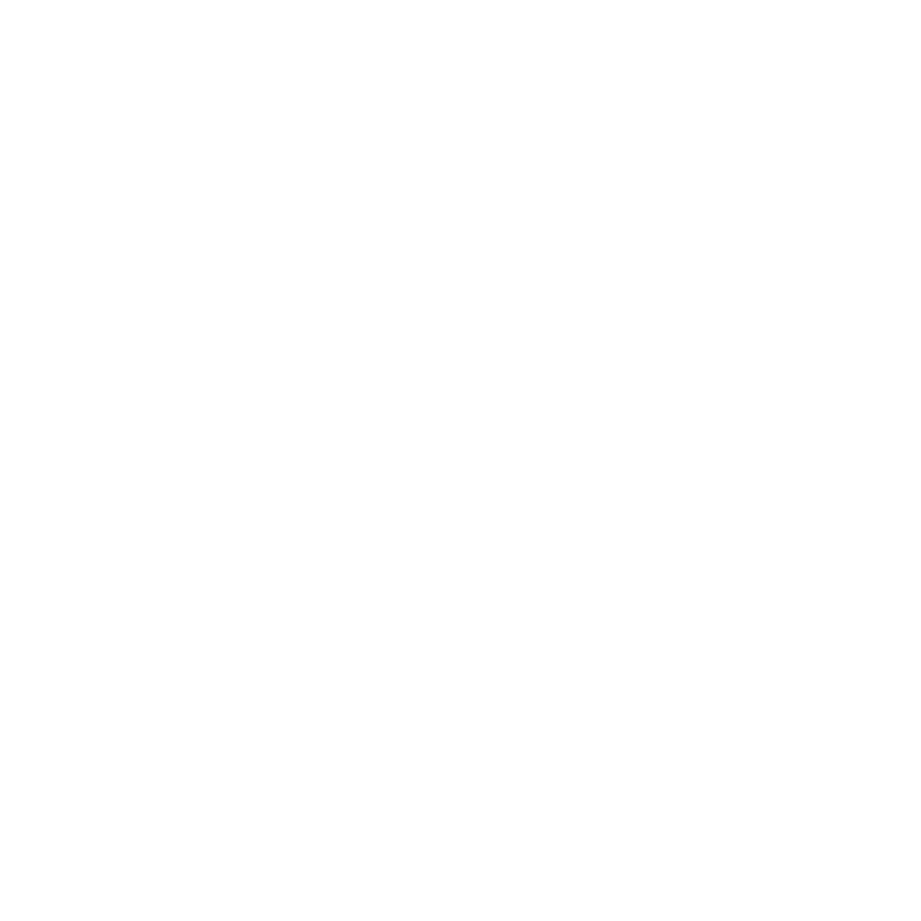 Ace client AVIS
