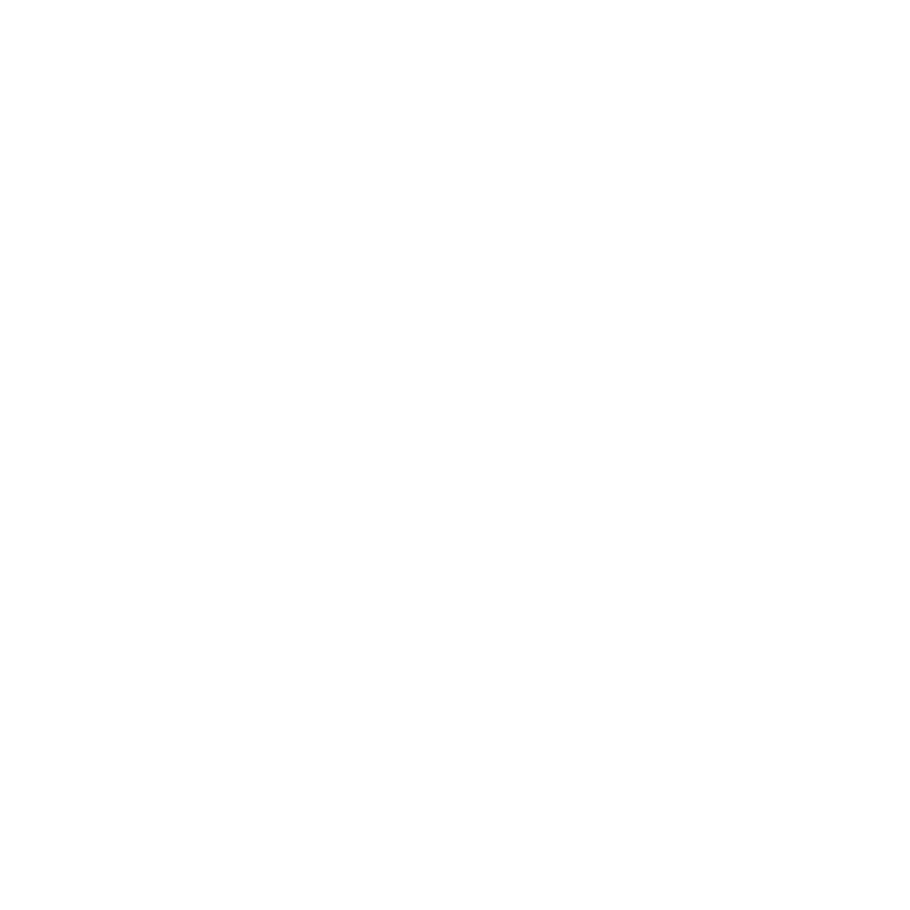 Ace client logo DAMEN