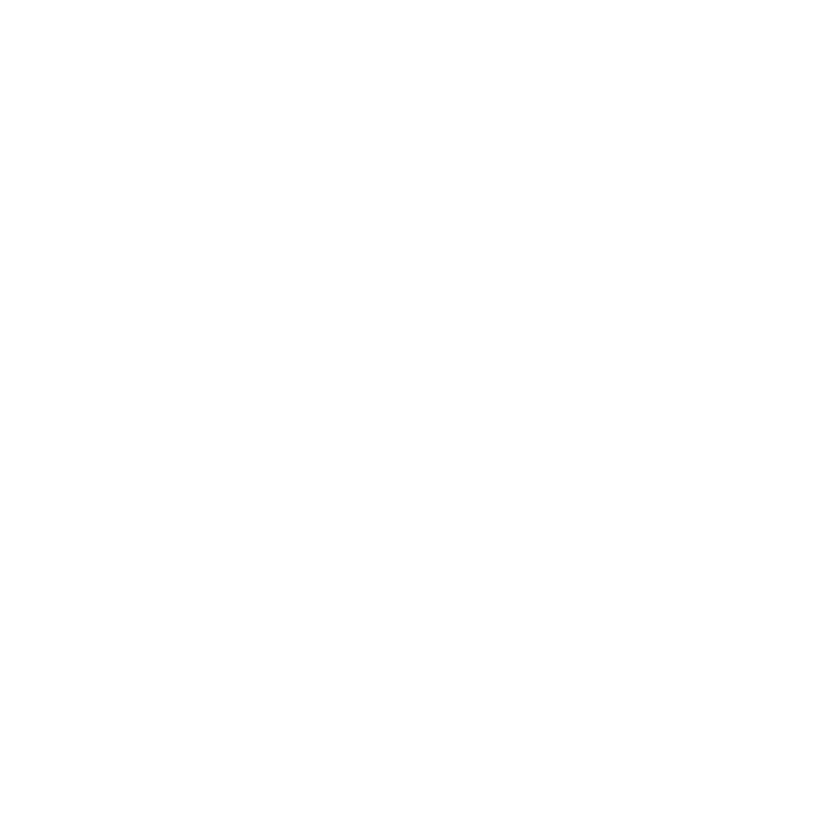 Ace client logo KLM
