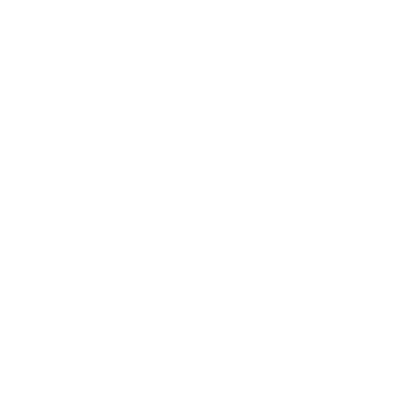 Ace client logo Schiphol