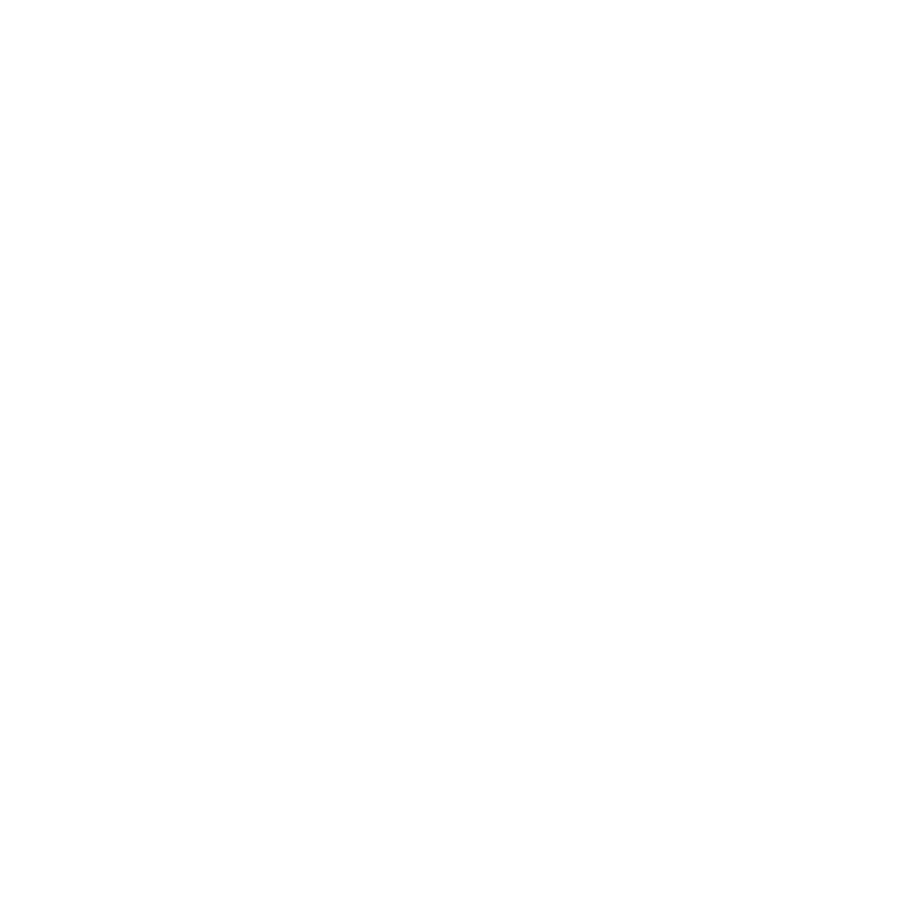 Ace client logo basicfit