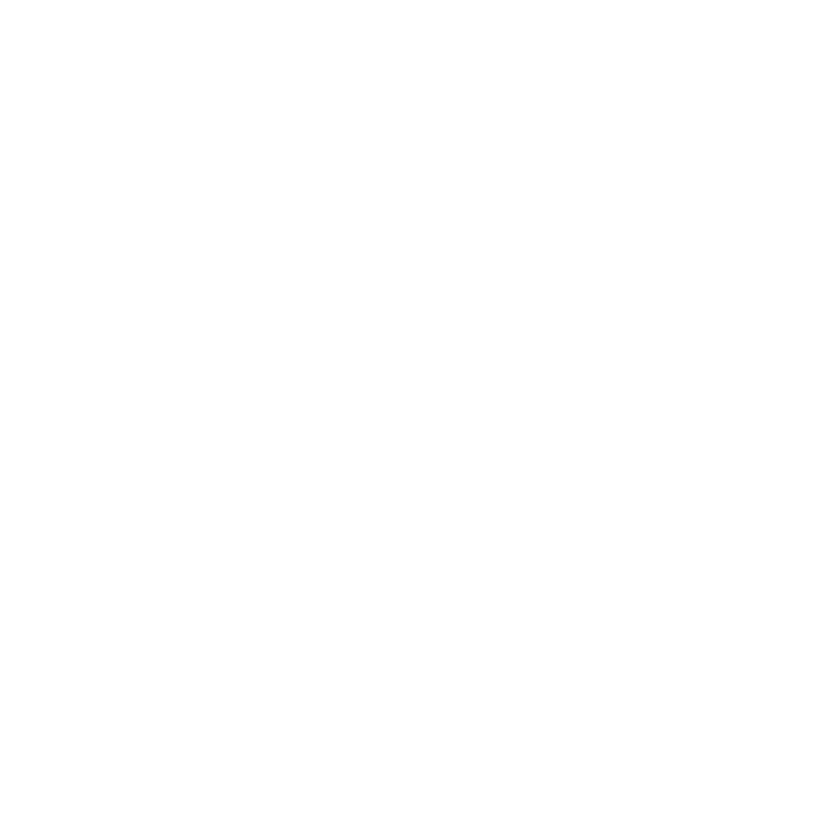 Ace client logo felyx