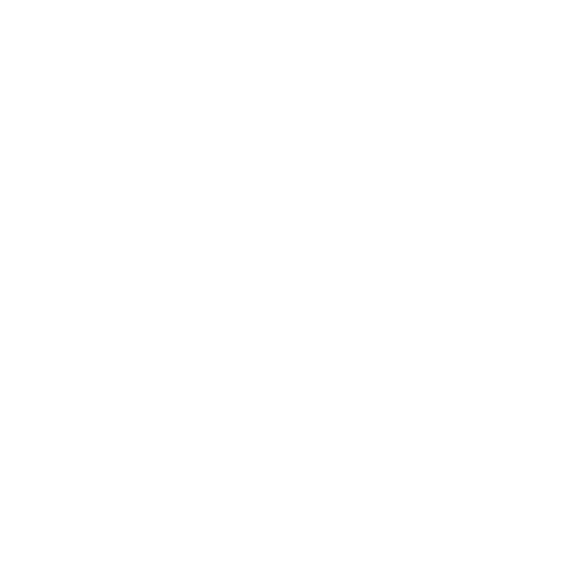 Ace client logo floryn
