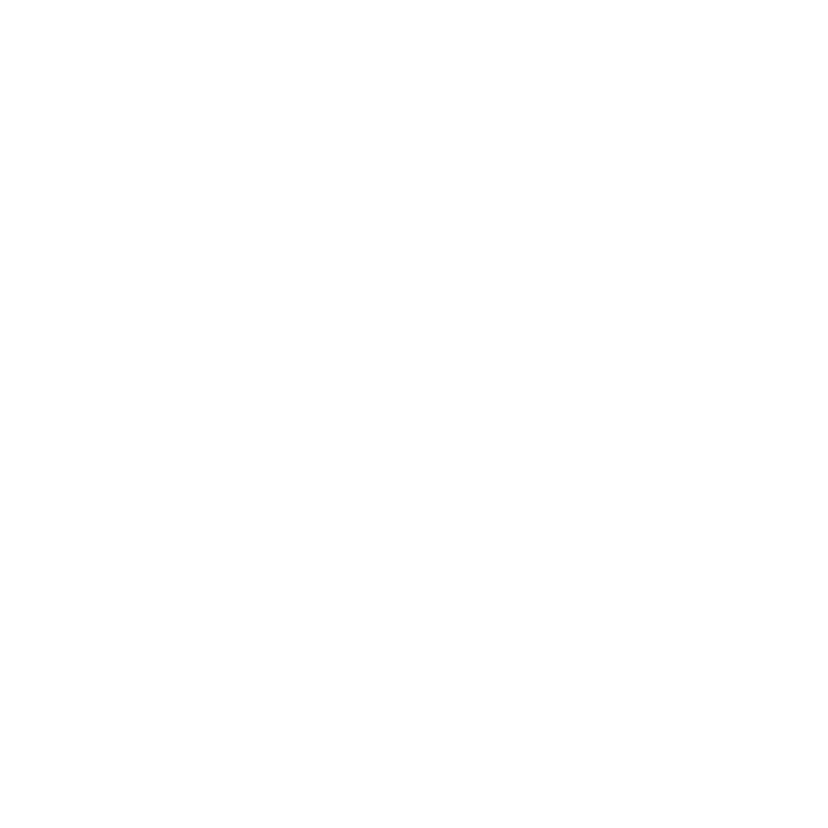 Ace client logo lidl
