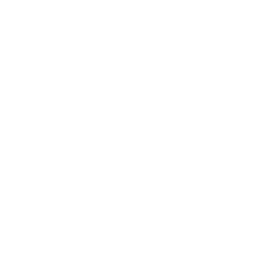 Ace client logo magnum