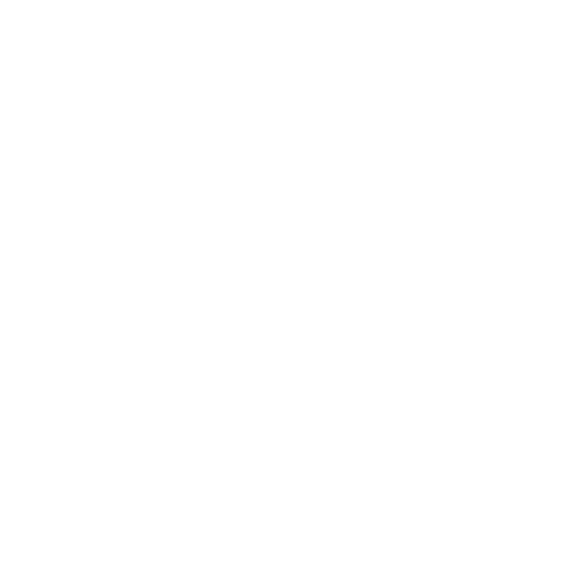 Ace client logo porsche
