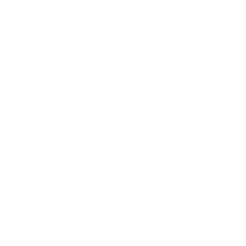Ace client scribbr